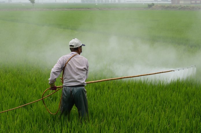ce inseamna insecticid sistemic