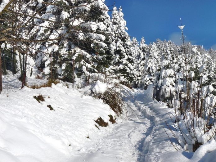 la ce temperatura rezista poxilina