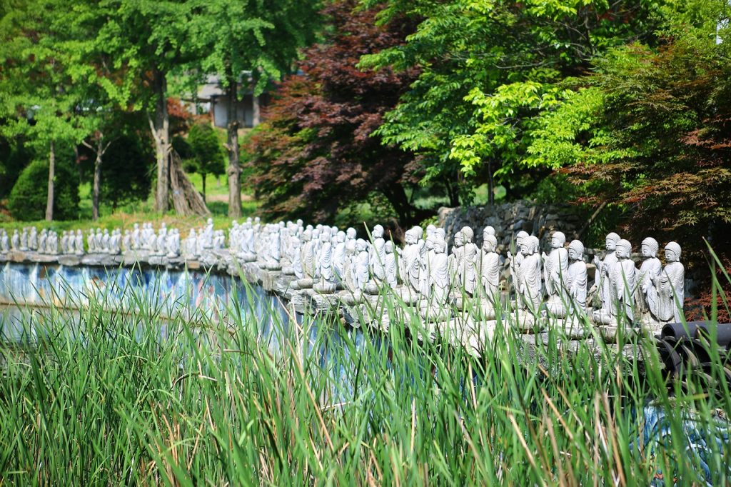 cat dureaza vacanta parlamentara