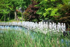 cat dureaza vacanta parlamentara