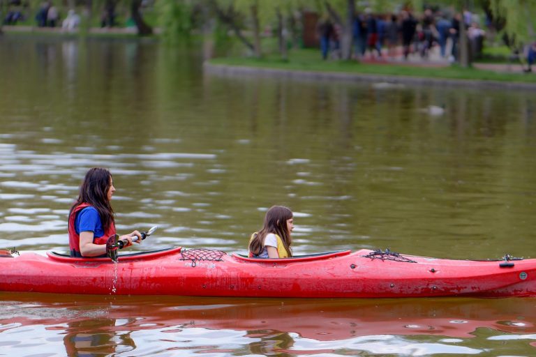 lamaia in criza de fiere