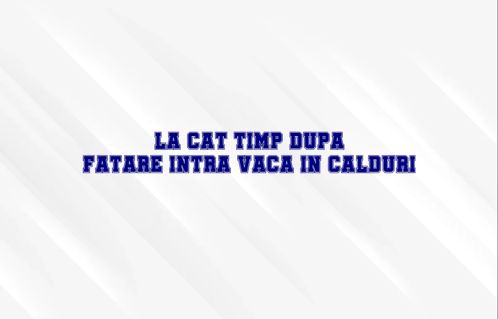 la cat timp dupa fatare intra vaca in calduri