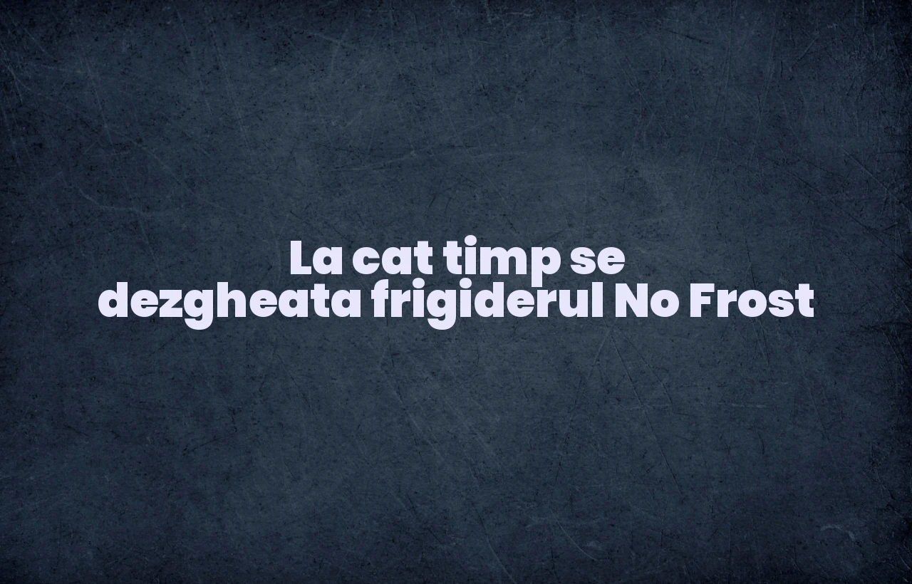 la cat timp se dezgheata frigiderul no frost