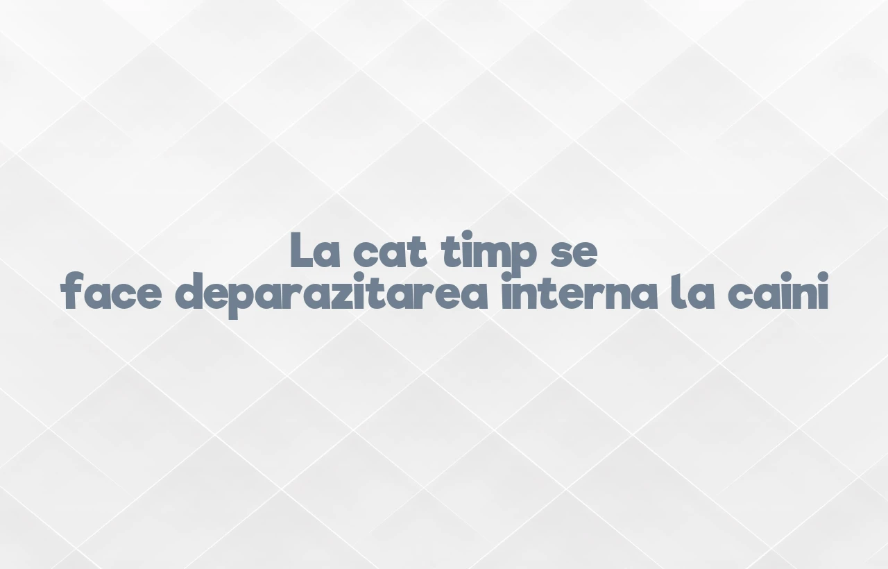 la cat timp se face deparazitarea interna la caini