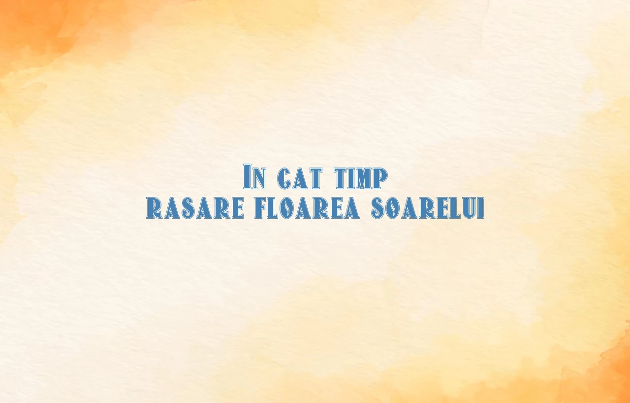 in cat timp rasare floarea soarelui