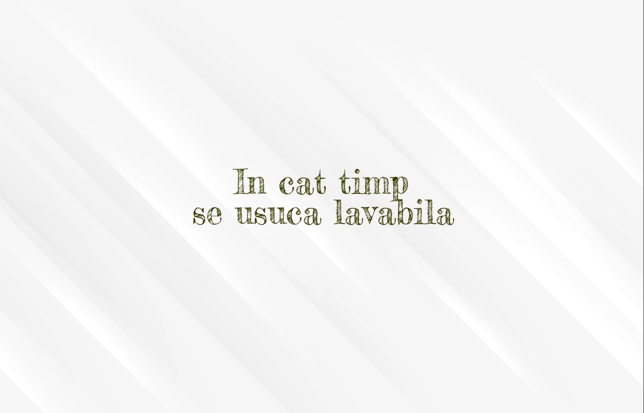 in cat timp se usuca lavabila